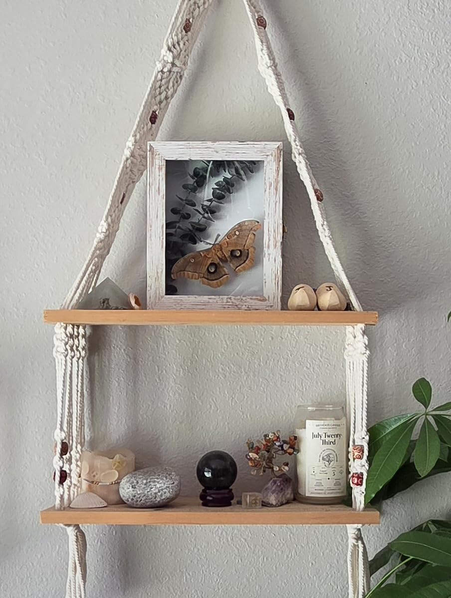 IHEIPYE Insect Display Case Bug Display Collection Box Large Black | Insect Shadow Box, Wall Mount, Anti Fade UV Protection Acrylic Top, Eva Foam Pinning Board, 3 Sizes Pins, Butterfly Specimen customer photo 2