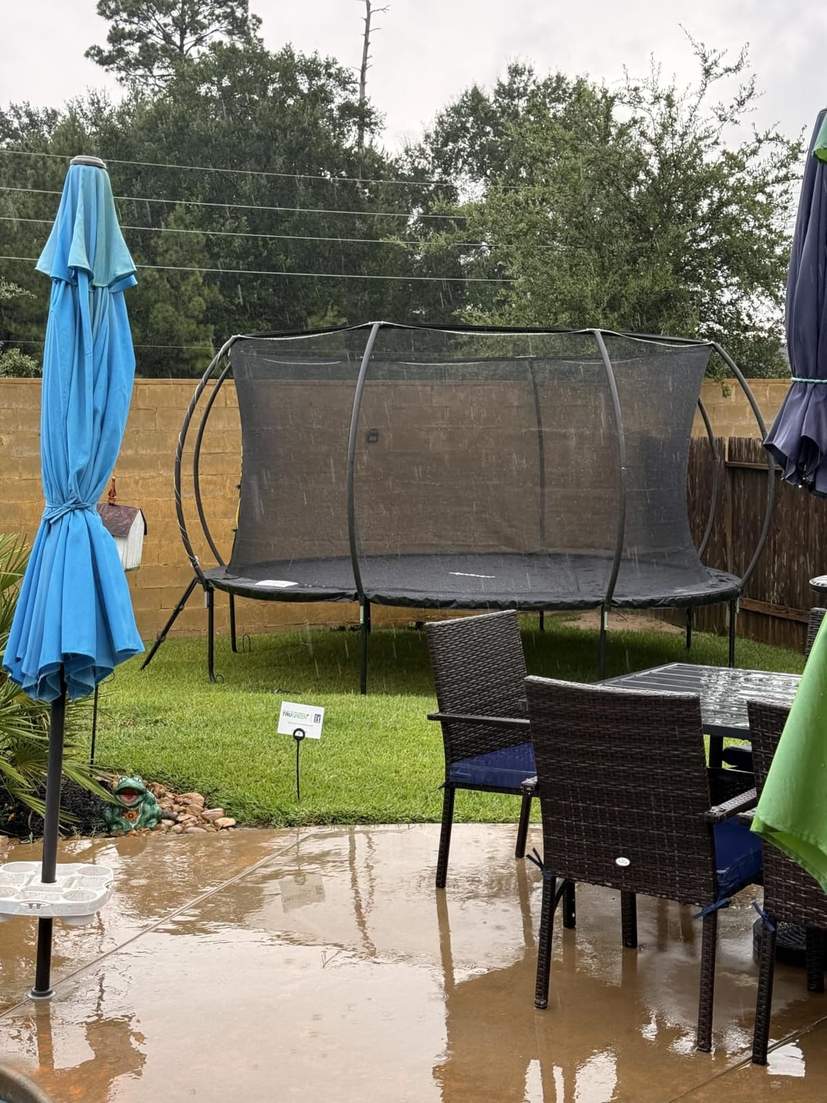 JoyBerri Outdoor Trampoline - with LED Lights, Net, Ladder, ASTM Certified | 8Ft 10Ft 12Ft 14Ft 15Ft 16Ft, 450lb capacity, kids & adults, anti-rust steel, net + ladder + stakes, 5-year protection customer photo 2