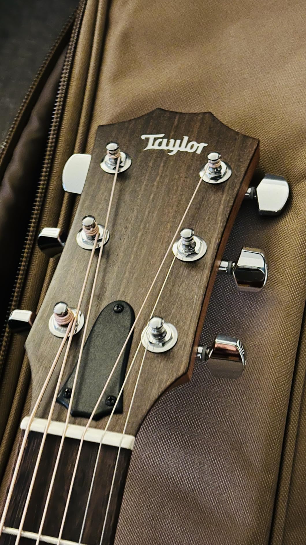 Taylor 114ce Grand Auditorium Acoustic-electric Guitar - Natural customer photo 2