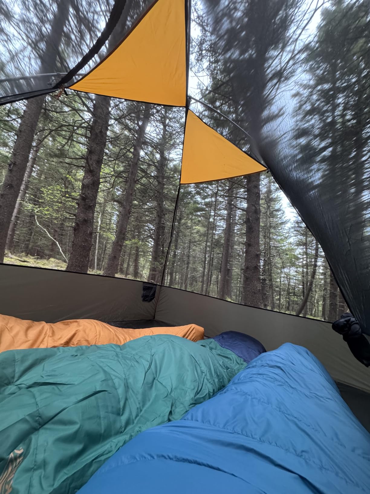 Kelty Cosmic 20 Down Mummy Sleeping Bag for Backpacking, Campers, 550 Fill Power, Recycled Fabrics with PFAS-Free DWR, Designed in Sunny Colorado customer photo 1