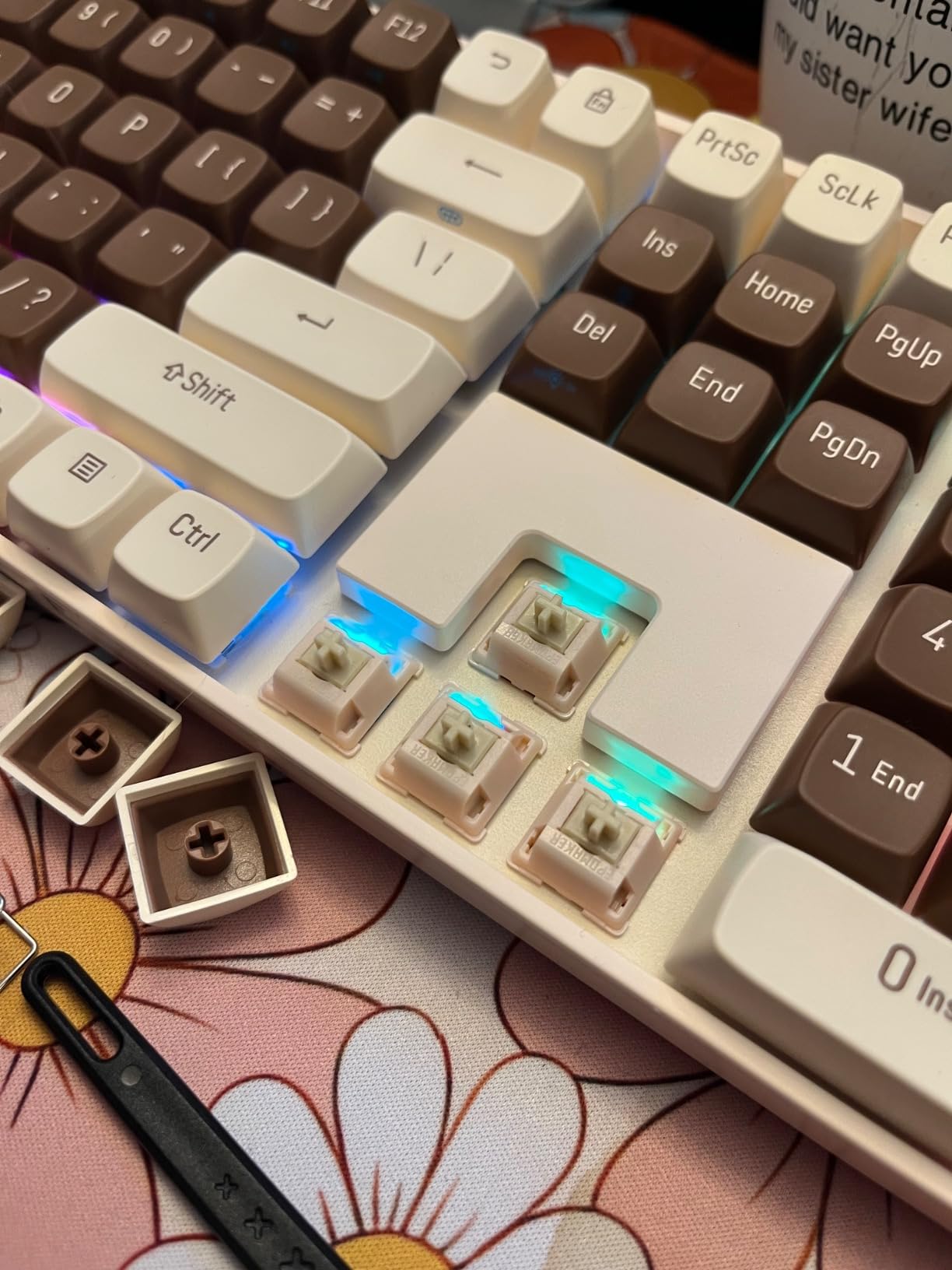 EPOMAKER Silent Mechanical Keyboard Switches Set - 35 Pieces Factory Pre-Lubed, 5-Pin Linear/Tactile Switches for Custom Mechanical Keyboards (Nude Rosa (Linear Silent)) customer photo 1