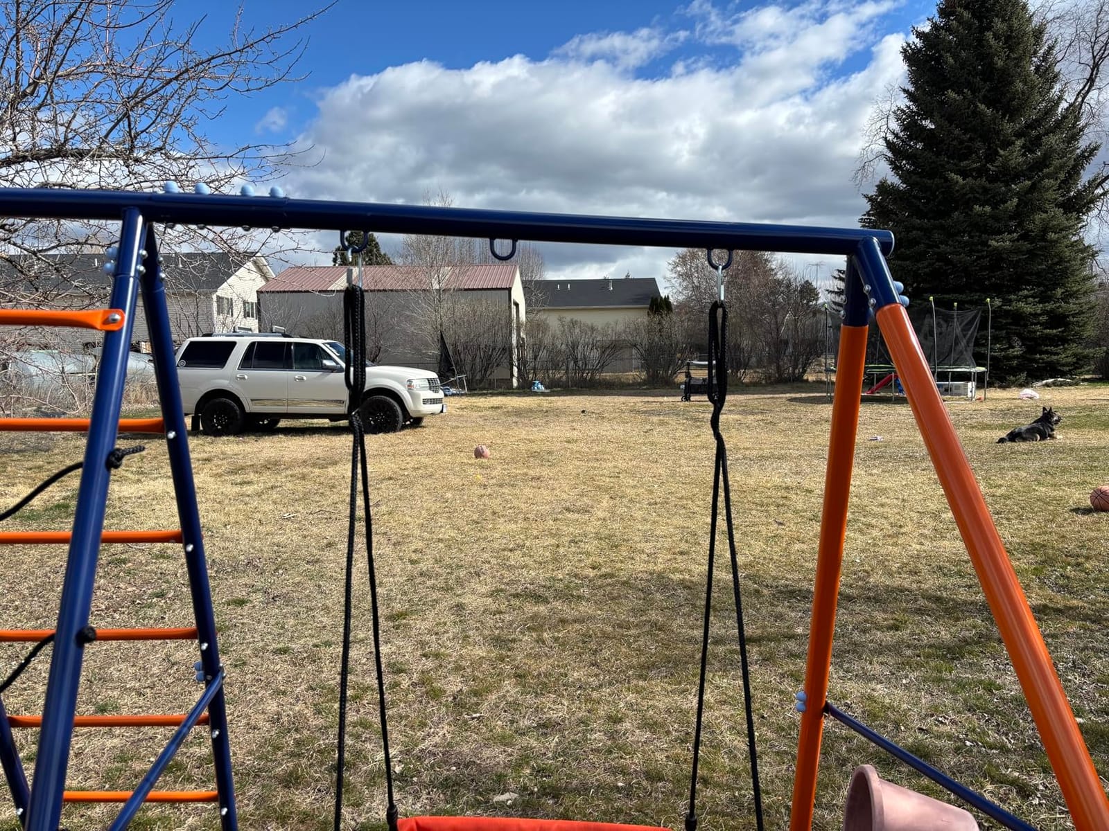 Swing Sets for Backyard 700 lb - 6 in 1 Playground Sets with 3 Swings Seats, Heavy Duty Metal Stand with Platform/Belt/Baby Swing, Climbing Ladder/Net, Easy Install, Outdoor Playset customer photo 2