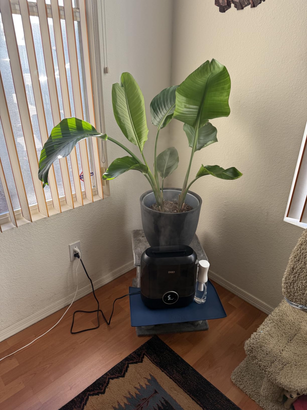 DREO 6L Smart Humidifiers for Bedroom, Large Room, 60H Runtime, Quiet 28dB | Top Fill Supersized Cool Mist Humidifier for Plants, Indoor, Home, Night Light, App/Touch/Voice Control, Ebony customer photo 1