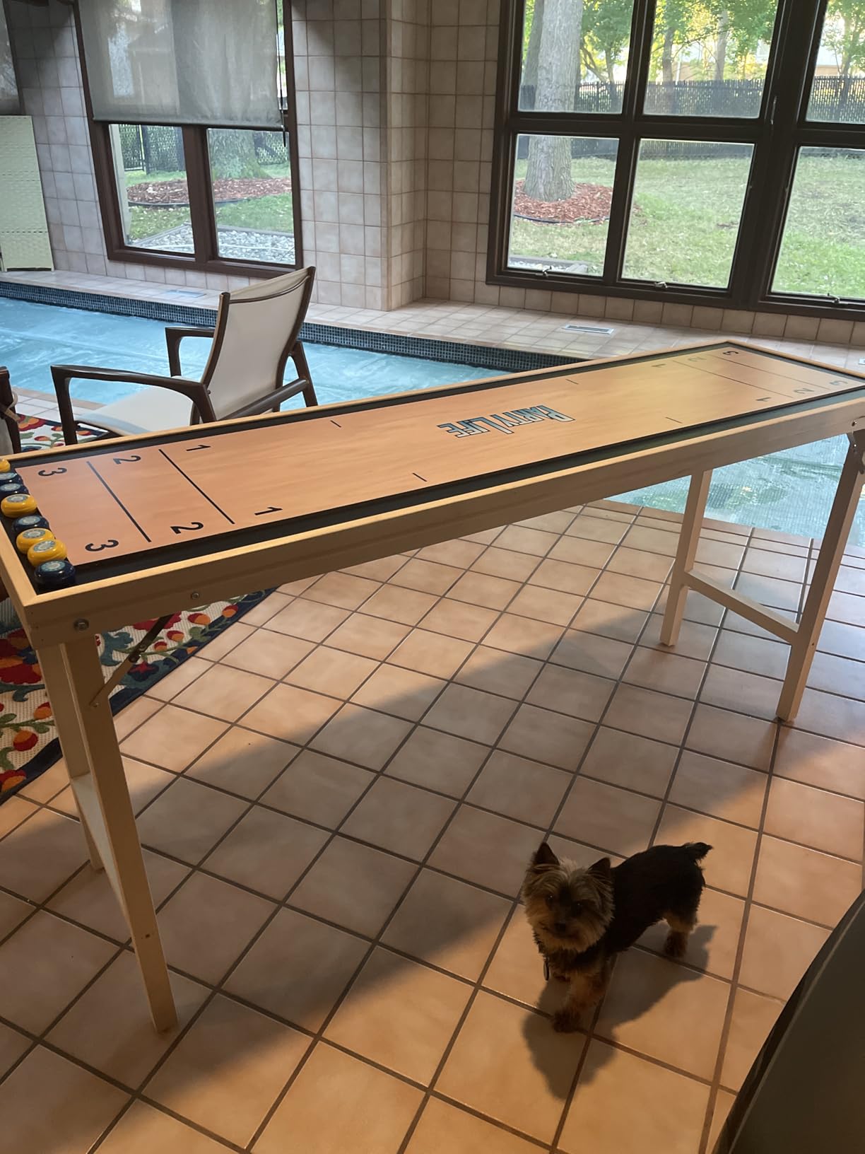 6-Foot Premium Shuffleboard Table w/Folding Legs, Pucks, and Optional LED Lights - Awesome Graphics - Choose Your Model customer photo 2