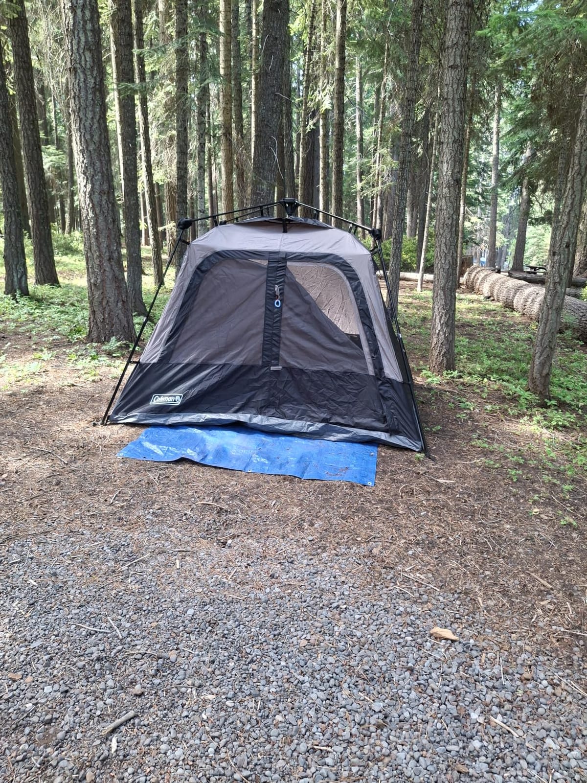 Coleman 4/6/8/10 Person Instant Camping Tent with 1-Minute Setup, Large Family Tent with Pre-Attached Poles, Air Vent, & Carry Bag, Sets Up in About 60 Seconds customer photo 1
