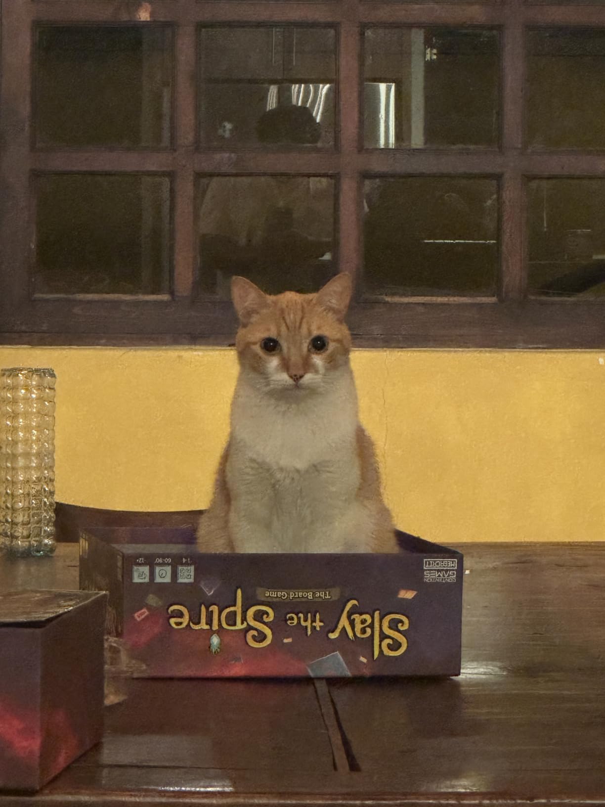 Slay The Spire: The Board Game - Cooperative Fantasy Board Game customer photo 2