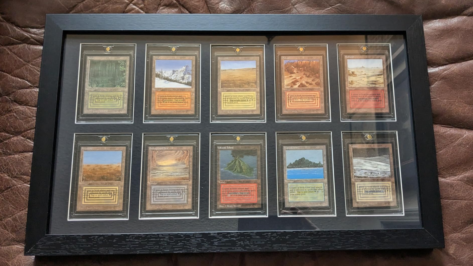 Bivitre Trading Card Display Frame with UV Protection Magnetic Card Holder | Wall Mount Baseball Card Display Case, for Basketball Football Hockey Pokemon MTG Yugioh, for 6 Standard Cards customer photo 2