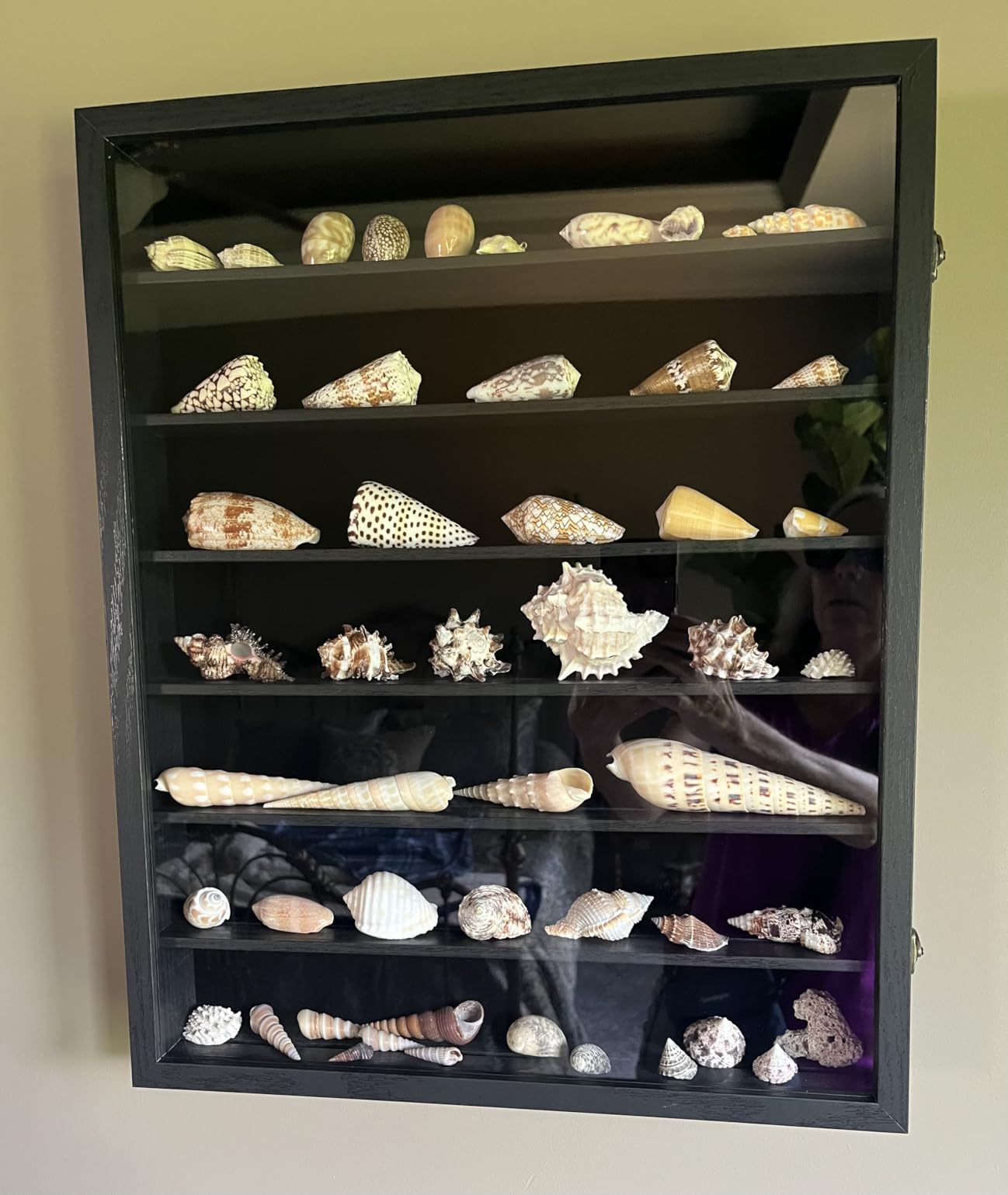 FramePro Shadow Box Frame Display Case 12x16 with Removable Shelves, Deep Memory Box Trinket Knick Knack Shelf Cabinet for Collector, Keepsake Coins Military Medals Wedding Flowers Real Wood customer photo 2