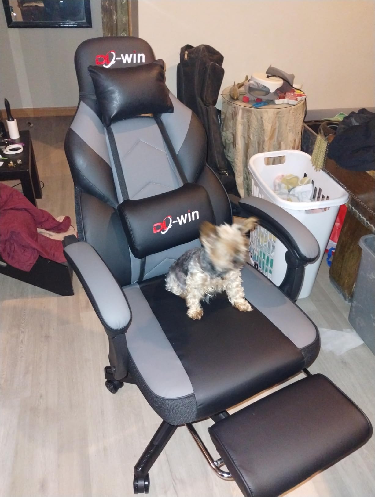 DL-win Gaming Chairs for Adults, Computer Chair with Footrest and High Back, Big and Tall Gamer Chair's with Massage Lumbar Support, 360° Swivel Height Adjustable Gaming Chair, Grey customer photo 2