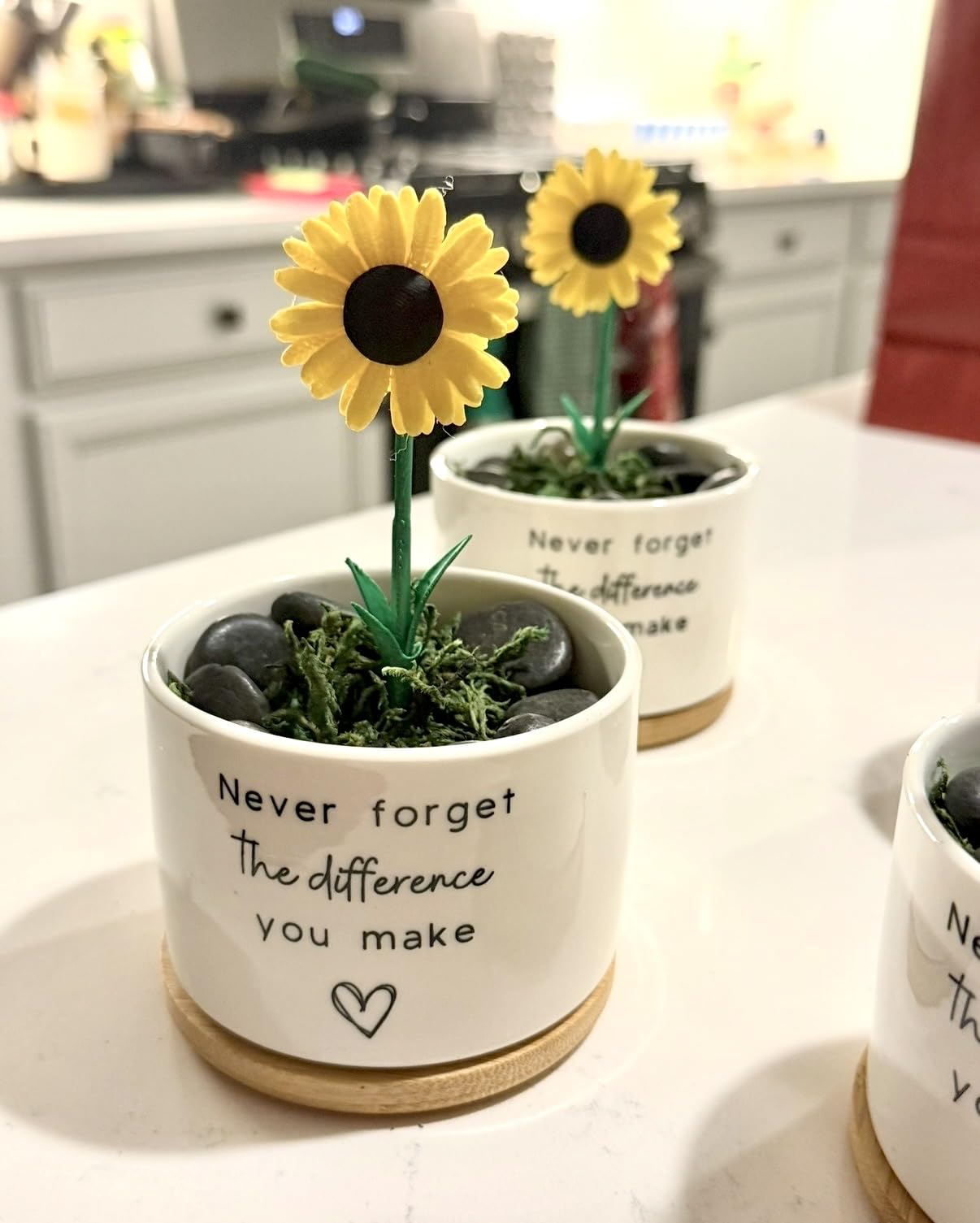 Cute Succulent Planter, Flower Cactus Plant Pot Gifts, Going Away Farewell Thank You Inspirational Employee Appreciation Gifts for Women Men Coworkers Boss Lady Manager (No Plants) customer photo 1