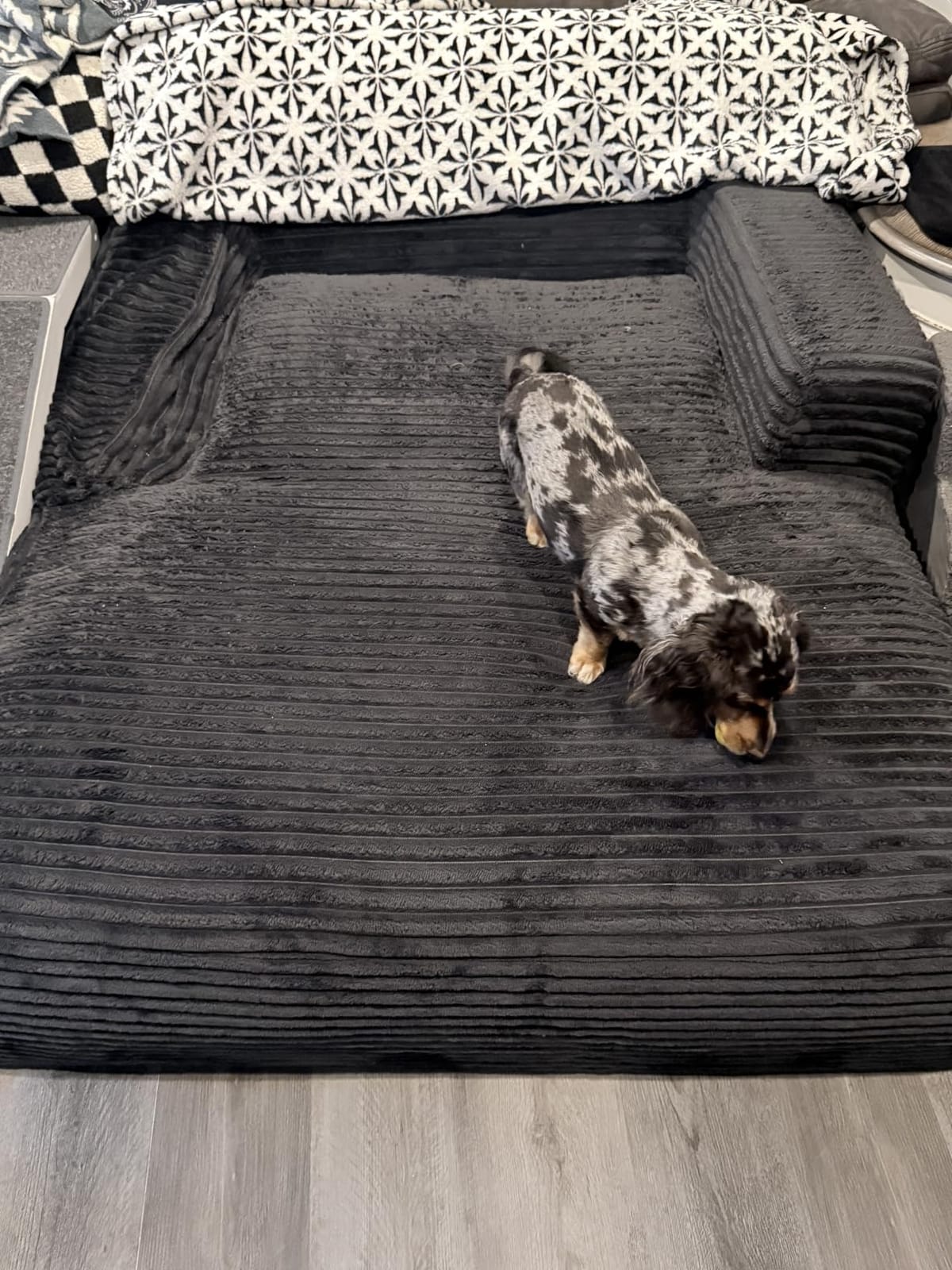 50 Inch Chaise Lounge Chair Indoor, Oversized Corduroy Upholstered Boneless Sofa Bed, Deep Seat Sleeper Couch Reading Chairs, Cloud Sofas Couches for Living Room, No Assembly Required (Dark Grey) customer photo 1