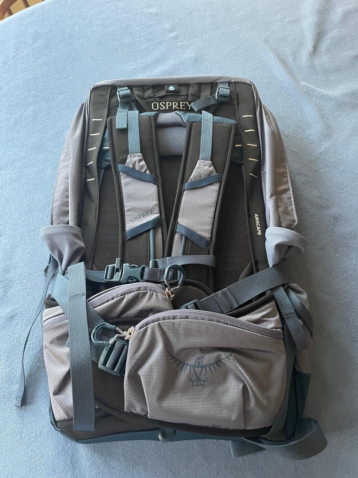 Osprey Tempest 22L Women's Lightweight Hiking Backpack, Green OS | daypack, travel daypack, camping pack, Green color, OS size customer photo 2