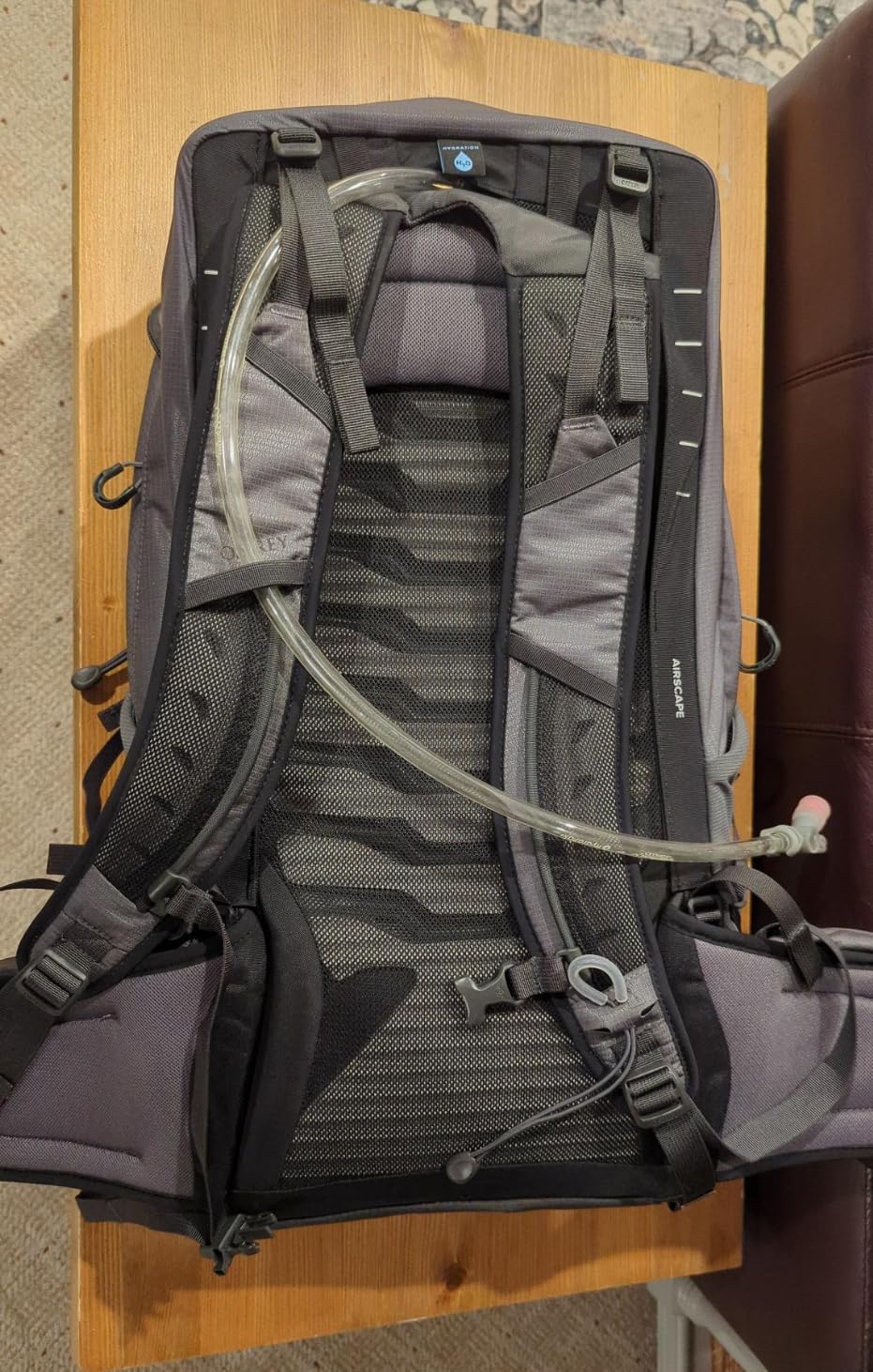Osprey Talon 22L Men's Lightweight Hiking Backpack, Gray OS customer photo 2