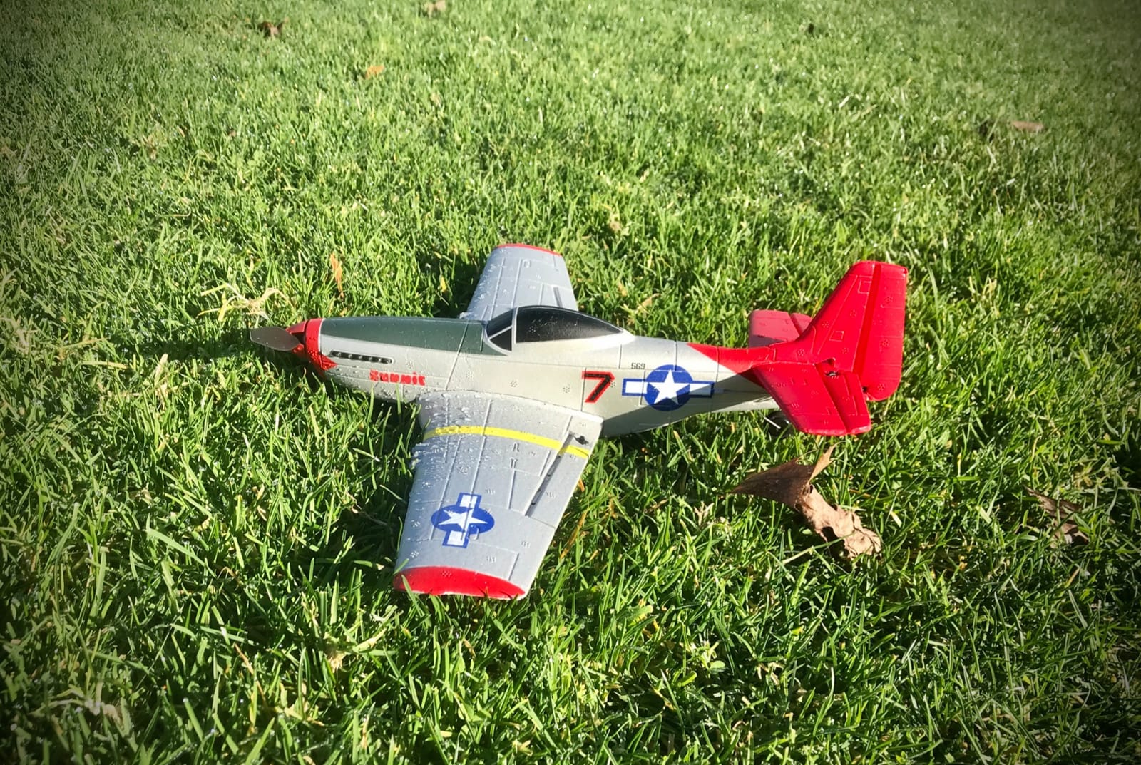 volantexrc RC Plane, 4CH Remote Control Airplane for Beginners & Adults | P51D Mustang, Gyros, Aileron, Aerobatics, 3 Modes, Multi Color customer photo 2