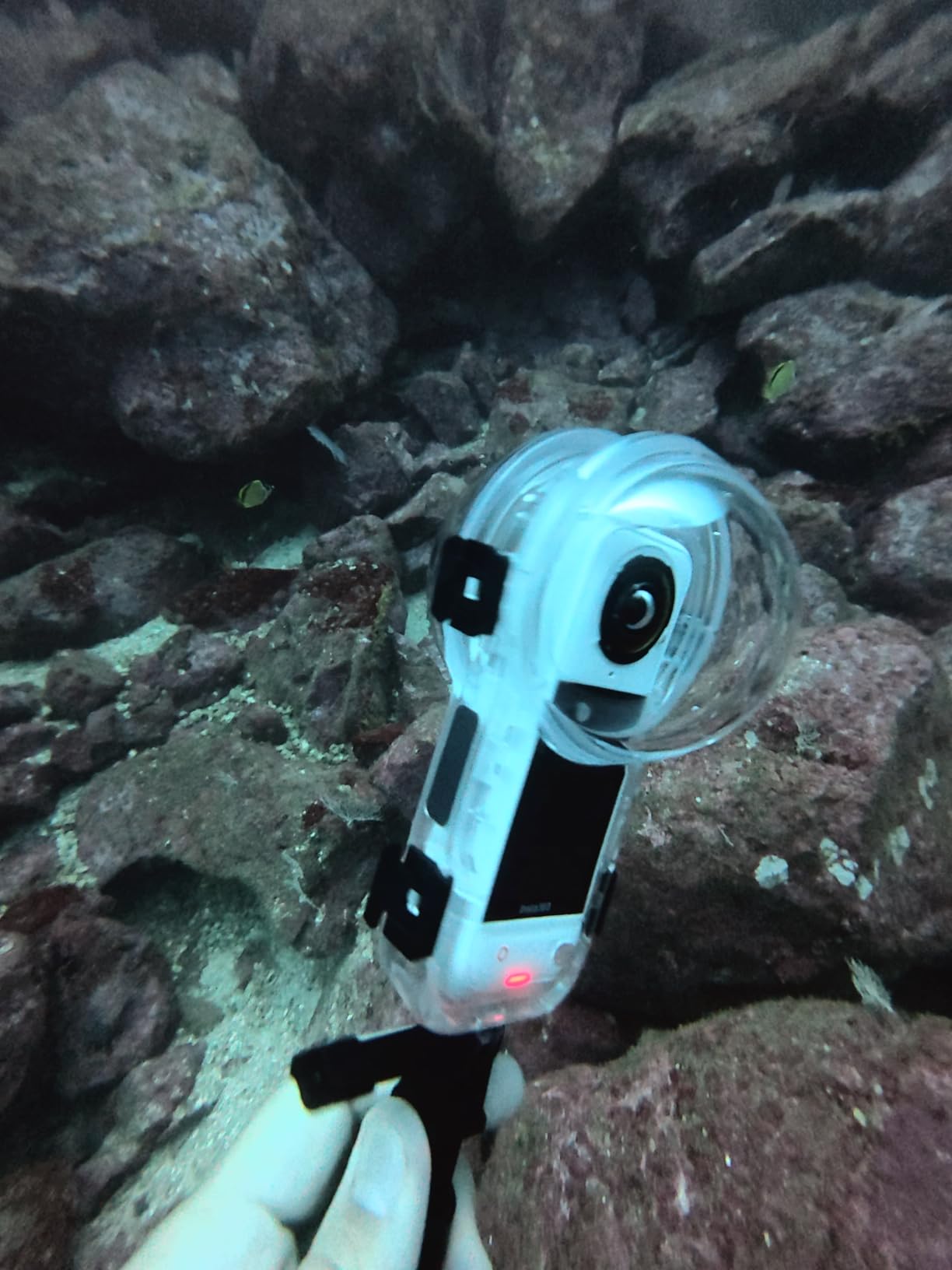 Insta360 X5 Invisible Dive Case customer photo 1