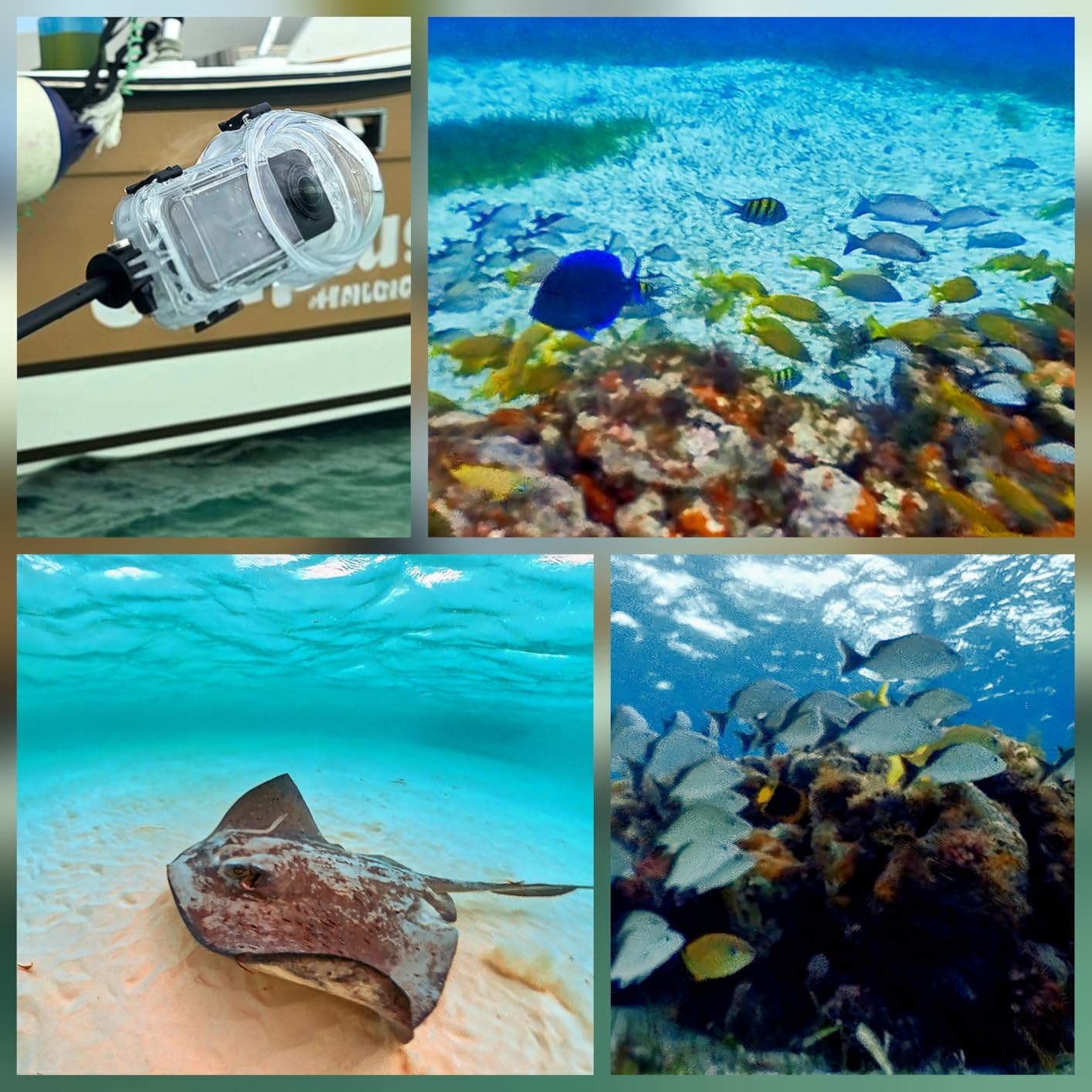 Insta360 X5 Invisible Dive Case customer photo 2