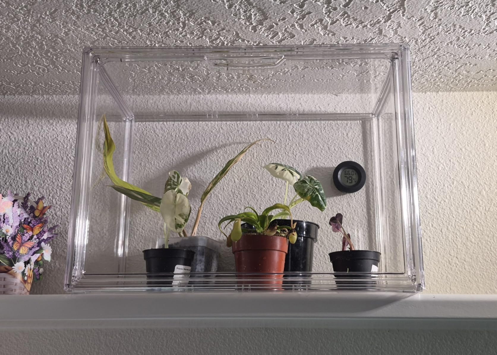 Attelite Acrylic Display Case for Collectibles 3 Adjustable Layers 1Pack | Tool-free Assembly, Clear Display for Figures, 2 Tier Clear Acrylic Box, Stackable Storage Bin, Magnetic Door, Dustproof customer photo 1