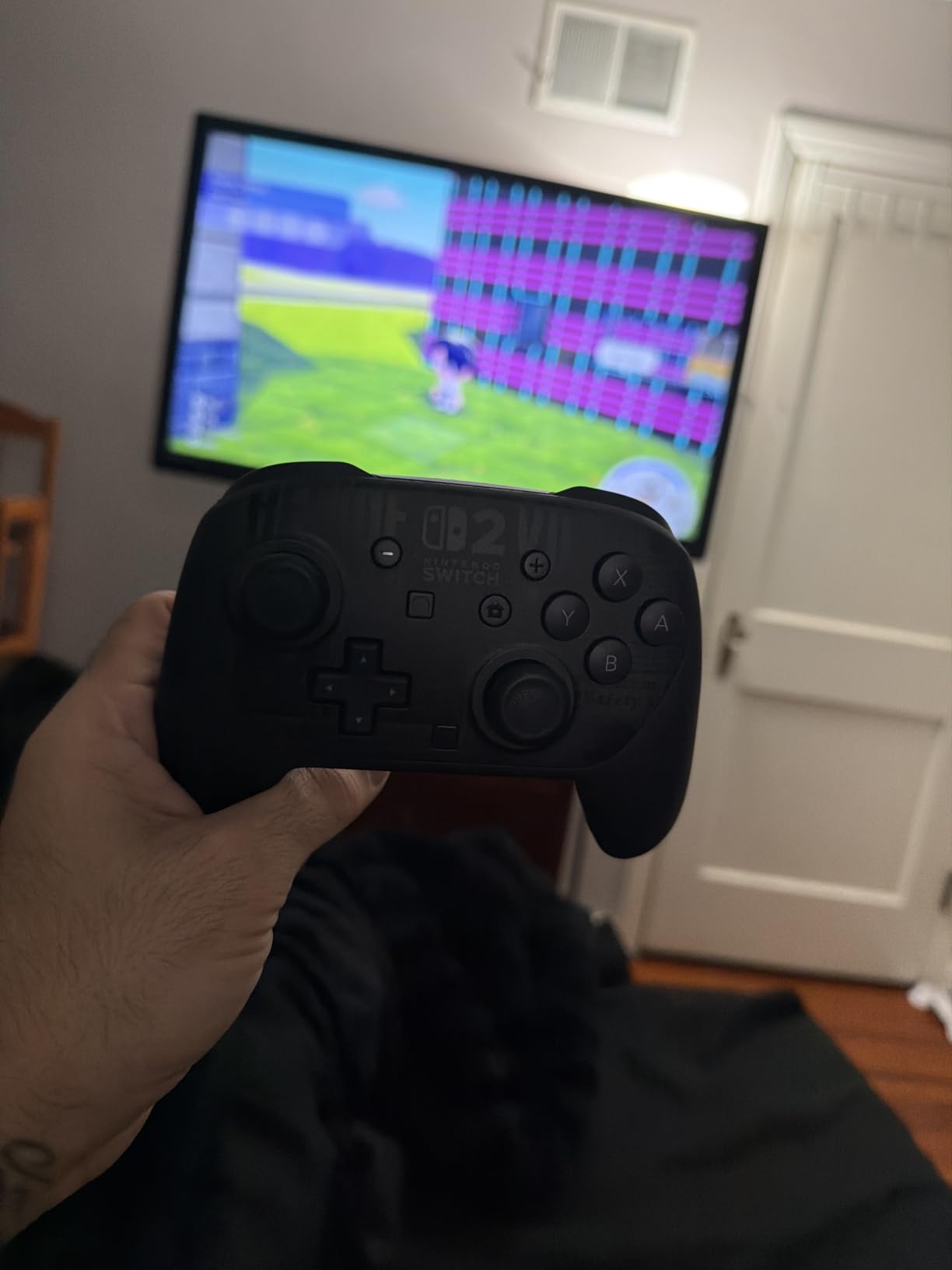 Nintendo Switch 2 Pro Controller customer photo 2