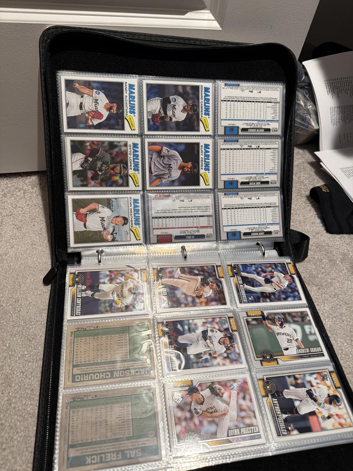 Portable 9-Pocket Trading Card Binder, Holds 1080 Cards | 60 Removable Double-Sided Sleeves, Baseball Card Binder Card Storage Organizer Album for Boys, Girls, Sports & Game Cards customer photo 1