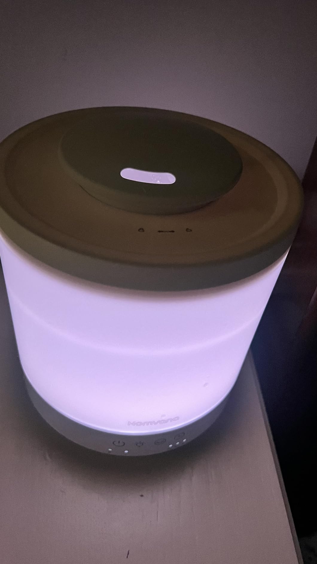 Homvana Humidifiers for Bedroom, Large Room, 1.5L Top-Fill, 2 Packs | 3 in 1 Ultrasonic Humidifier Oil Diffuser for Congestion Relief, 28dB Quiet, Cool Mist, Night Lights for Home, Plants customer photo 2