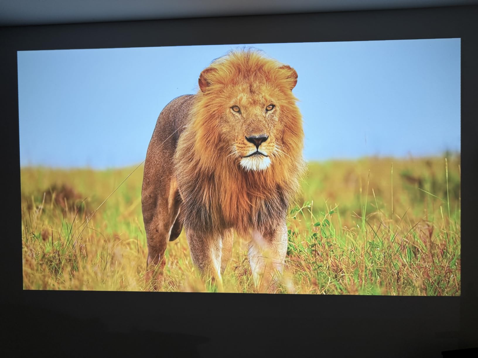 GooDee 4K Smart Projector with 5G WiFi 6 & Bluetooth, ToF AI Auto Focus | UHD Projector, Auto Keystone MEMC, Built-in Streaming Apps, Dolby Audio Home Theater for Outdoor Movie Night & Bedroom Cinema customer photo 1