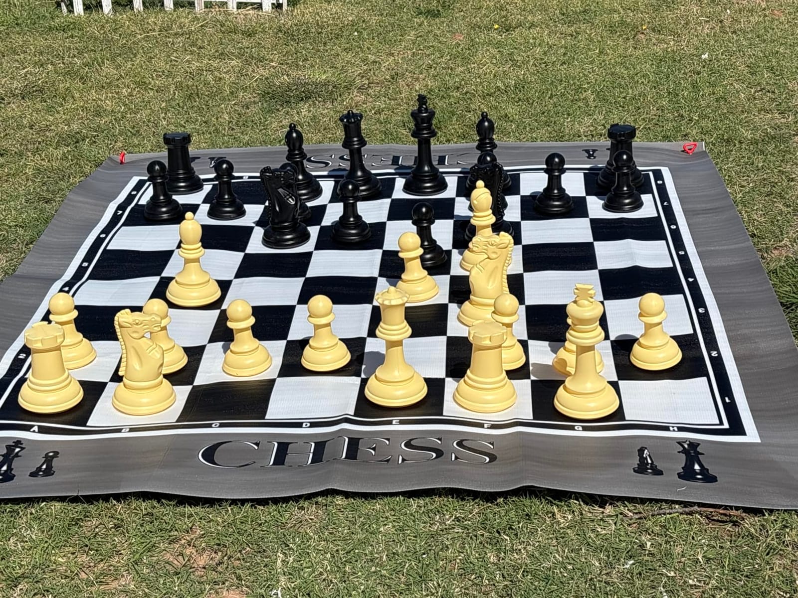 RAINBOW TOYFROG King Size Giant Chess Set with 10 Inch Pieces - Oversized Plastic Chess Game for Indoor/Outdoor Use with Waterproof Mat and Storage Box for Kids Adults Family Fun customer photo 1
