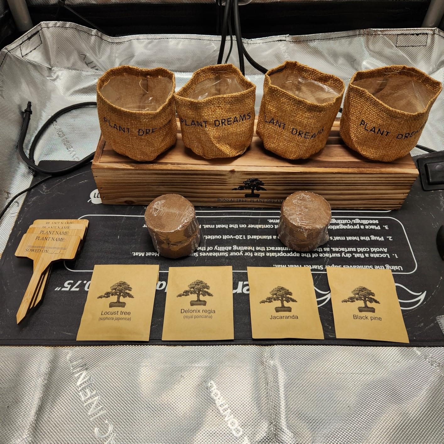 Bonsai Tree Kit, Bonsai Starter Kit with Seeds & Tools, Tree Live Plants Indoor, Gardening Gifts for Women Men Mom Father Plant Lover, Birthday Gifts for Women, Father Day Gifts customer photo 2