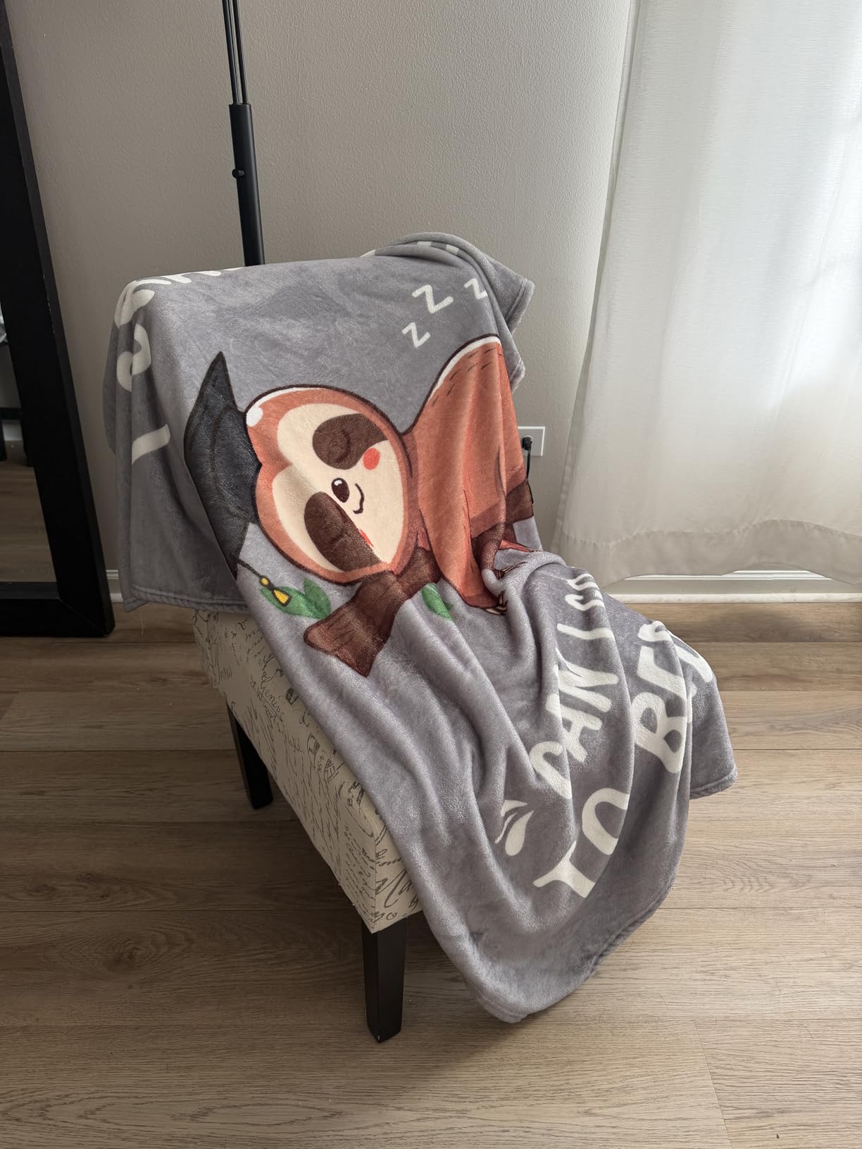 Funny Graduation Gifts for Women, Her & Him, Practical Throw, College Graduation Gifts for Men, Nurse, 2026 Grad Gifts for Master Degree, High School, PHD, Sloth Blanket, Gray(50 * 60) customer photo 1