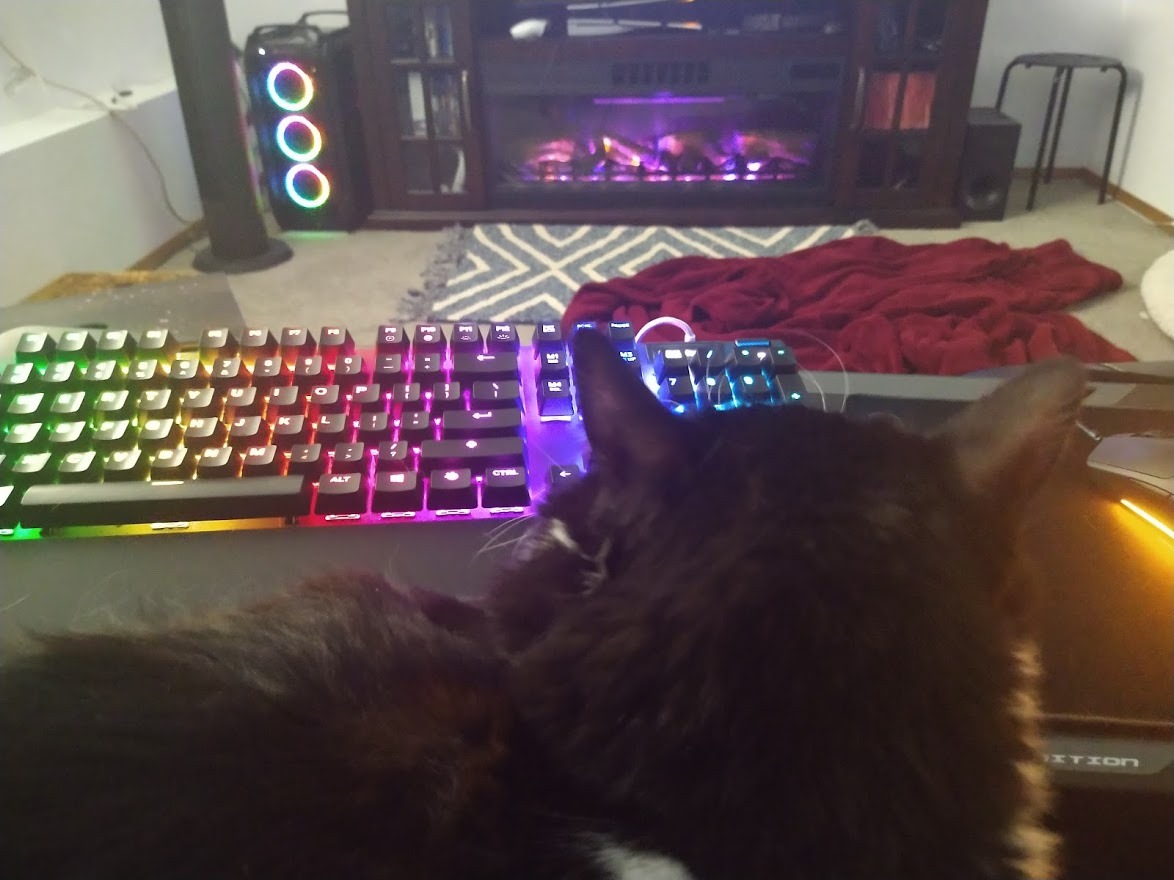 Couchmaster CYCON³ Samurai Edition with HORIZONLIGHT Bar, Ultimate Ergonomic USB-Hub Gaming Lap Desk for Couch and Bed, Compatible with All Keyboards and Mouse/Mice, Laptops, PCs, PS4/5, Xbox customer photo 2