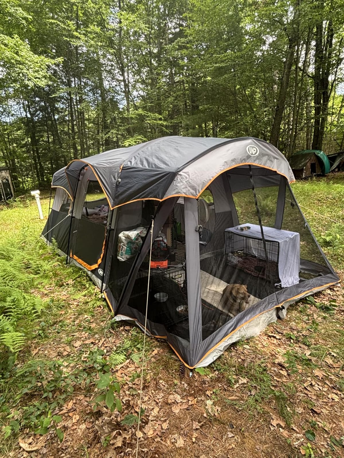 UNP Camping Tent 8 Person Waterproof Big Tunnel Tent with Screen Porch | and Rainfly Screen Room Outdoor Large Tents for Family Camping 20' x 9' x 80in(H) customer photo 1