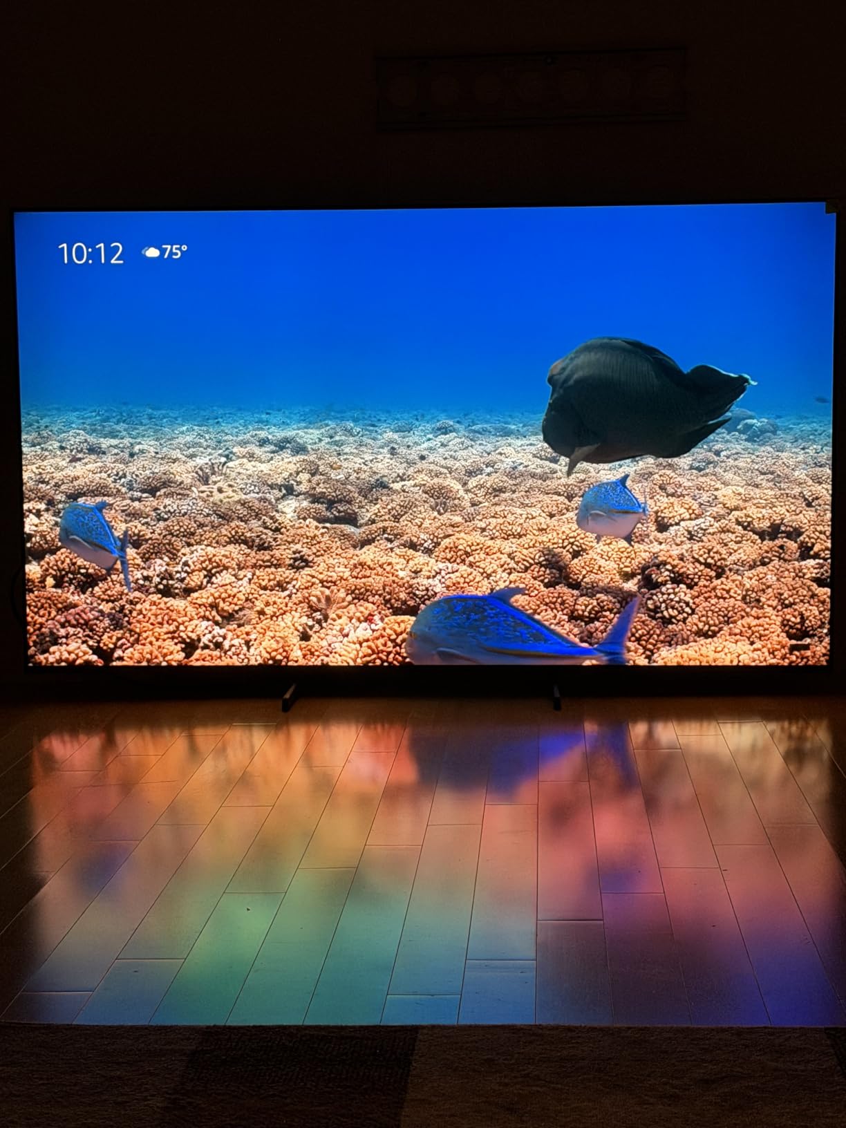 Hisense 55