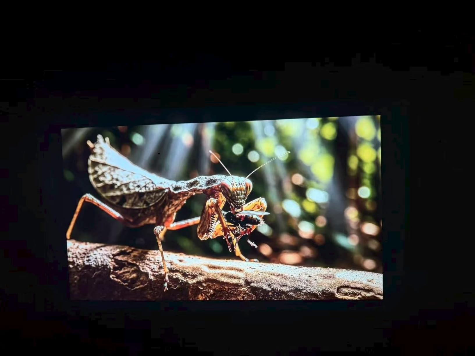 2000 ANSI Google TV-Licensed Projector, 4K/8K Input Support, Dual 36W Dolby | Native 1080P Projector with WiFi and Bluetooth, Voice Remote, AI Auto Focus, 125% sRGB, HDR10, 90 Degree Stand, 200