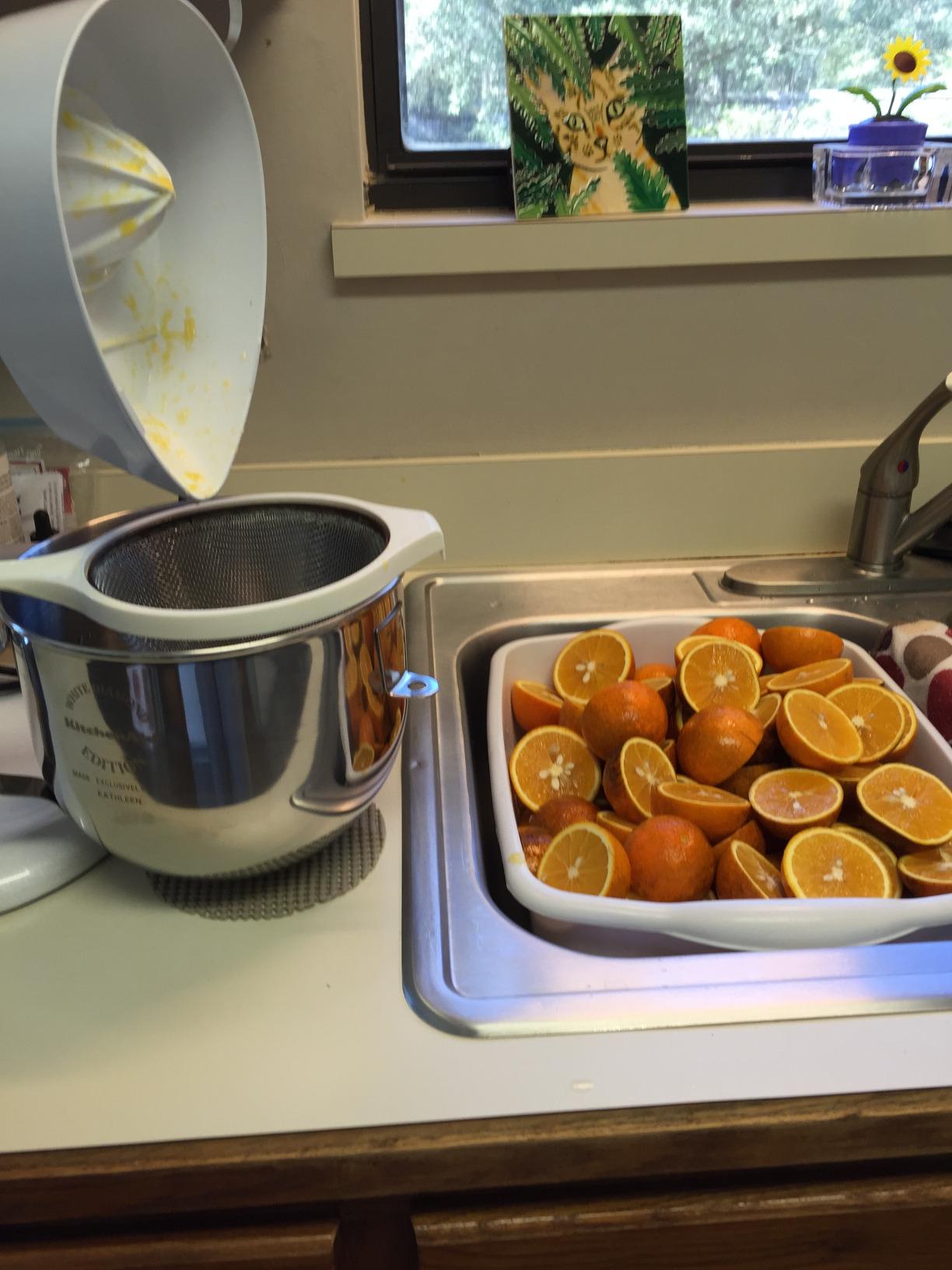 KitchenAid White Citrus Juicer Attachment for KitchenAid Stand Mixers, JE customer photo 1