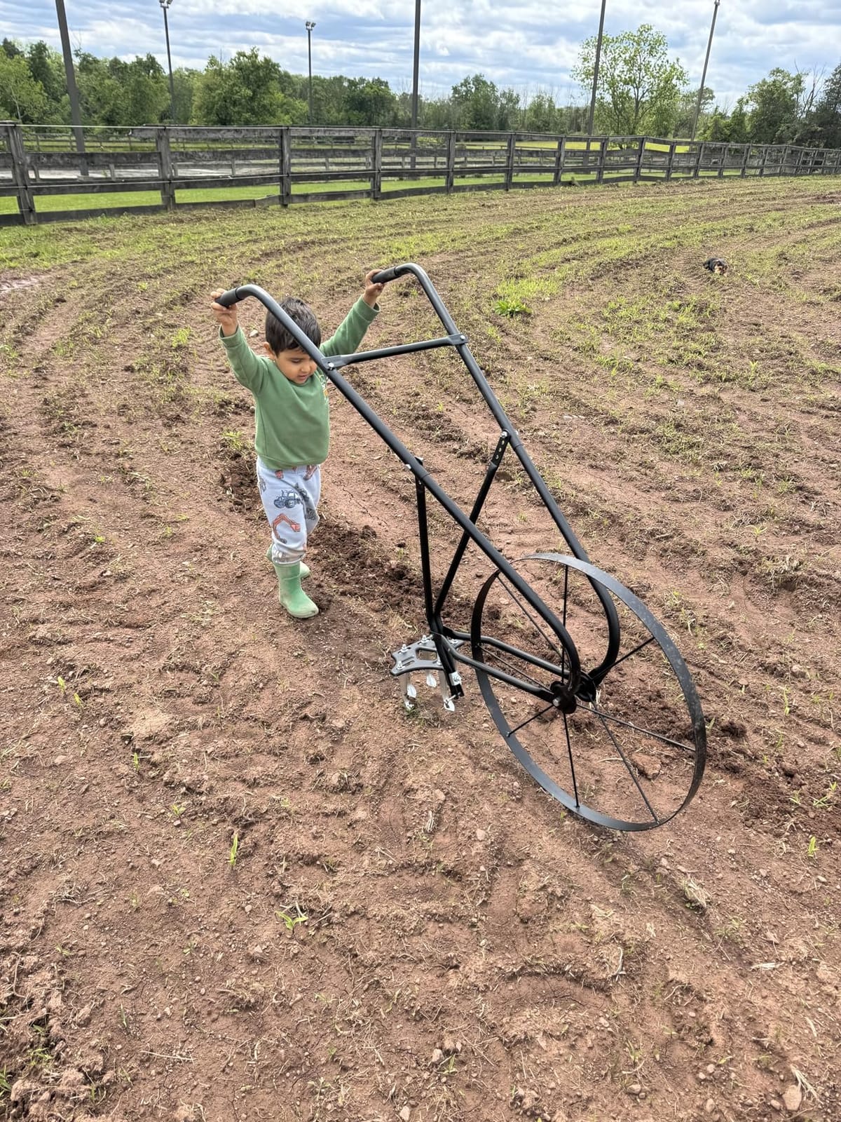 EarthWay 6500 High Wheel Tubular High Wheel Cultivator with Comfort Handle with 3- Position Adjustable, Quick Change Implements, and 24 Inch Steel Wheel customer photo 2
