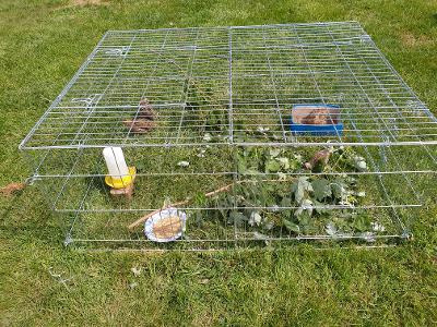 Trixie Rabbit Cage - 34 cu. ft., Outdoor Pen Extends Rabbit Hutch and Chicken Coops, Ideal for Small Animals, Bunny, Guinea Pigs, Chickens customer photo 1