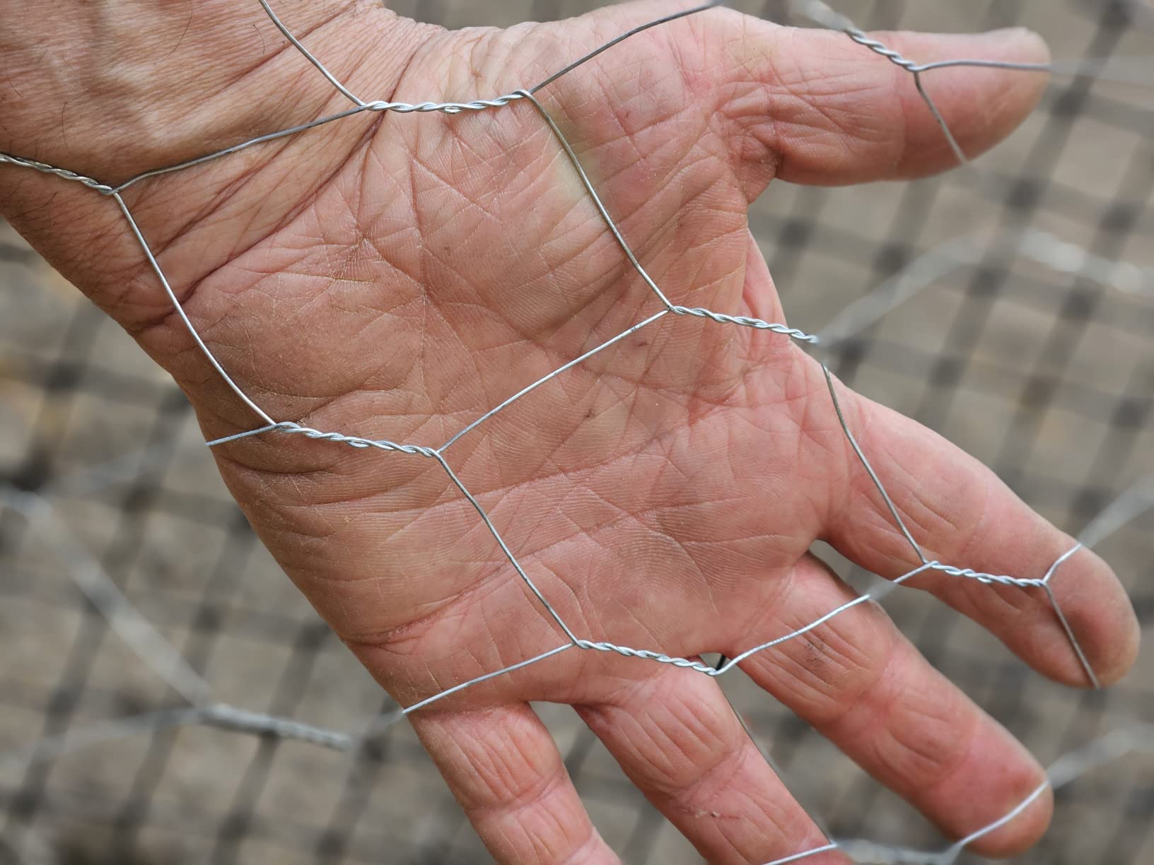YARDGARD 2 Inch Poultry Netting, Chicken Wire Fence, 20 Gauge Galvanized Steel, Rabbit Fencing, Bird Enclosures, Garden Protection and Plant Support, 24 Inches x 150 Feet Legacy customer photo 1
