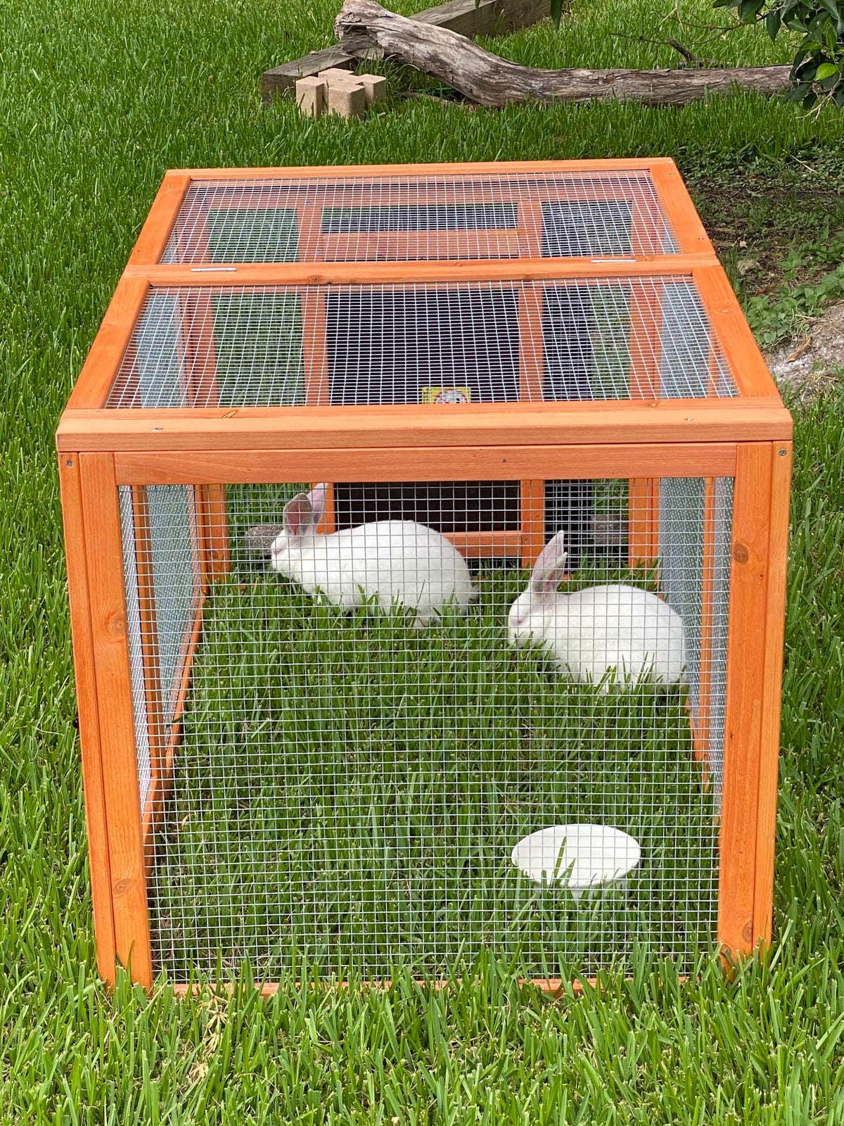 Trixie Natura Chicken Outdoor Run with Mesh-Covered Top, Extension for Natura Chicken Coops (55960, 55962, 55963, 55964), up to 2 Chickens (Standard Size) or 4 Bantams customer photo 2