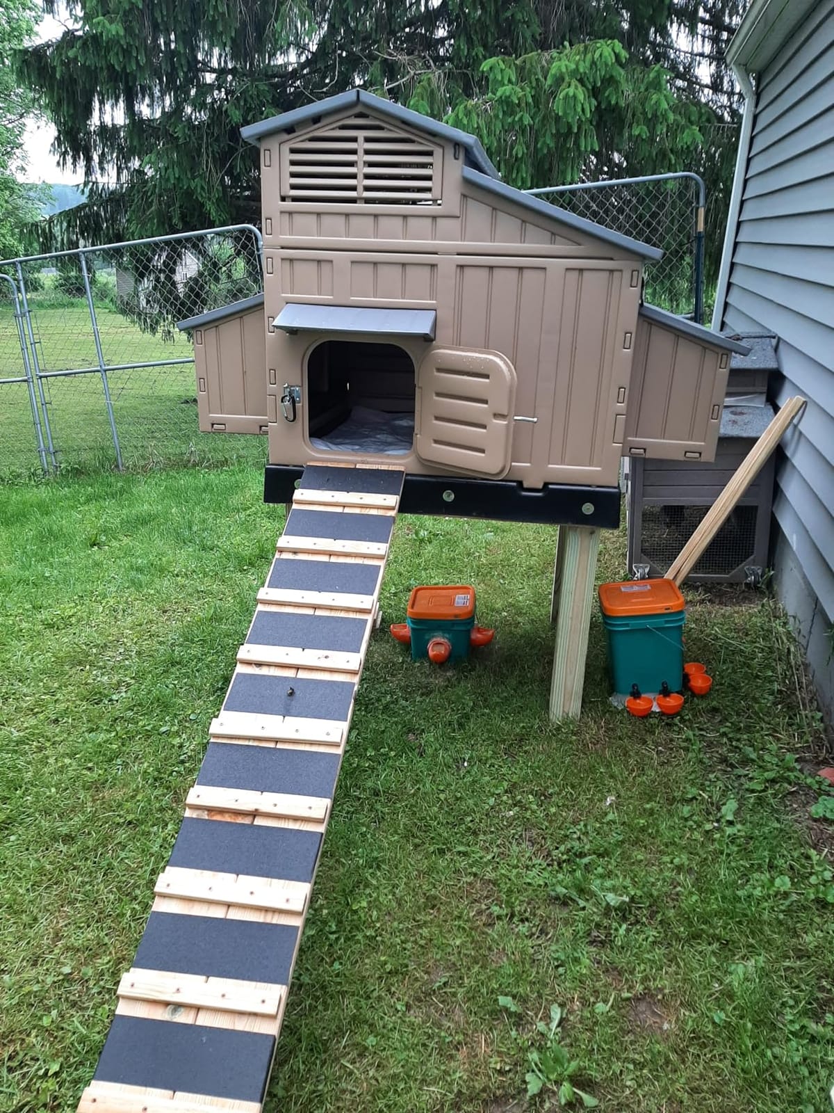 Hatching Time Formex Snap Lock 4-6 Large Chicken Coop, Backyard Hen House customer photo 1