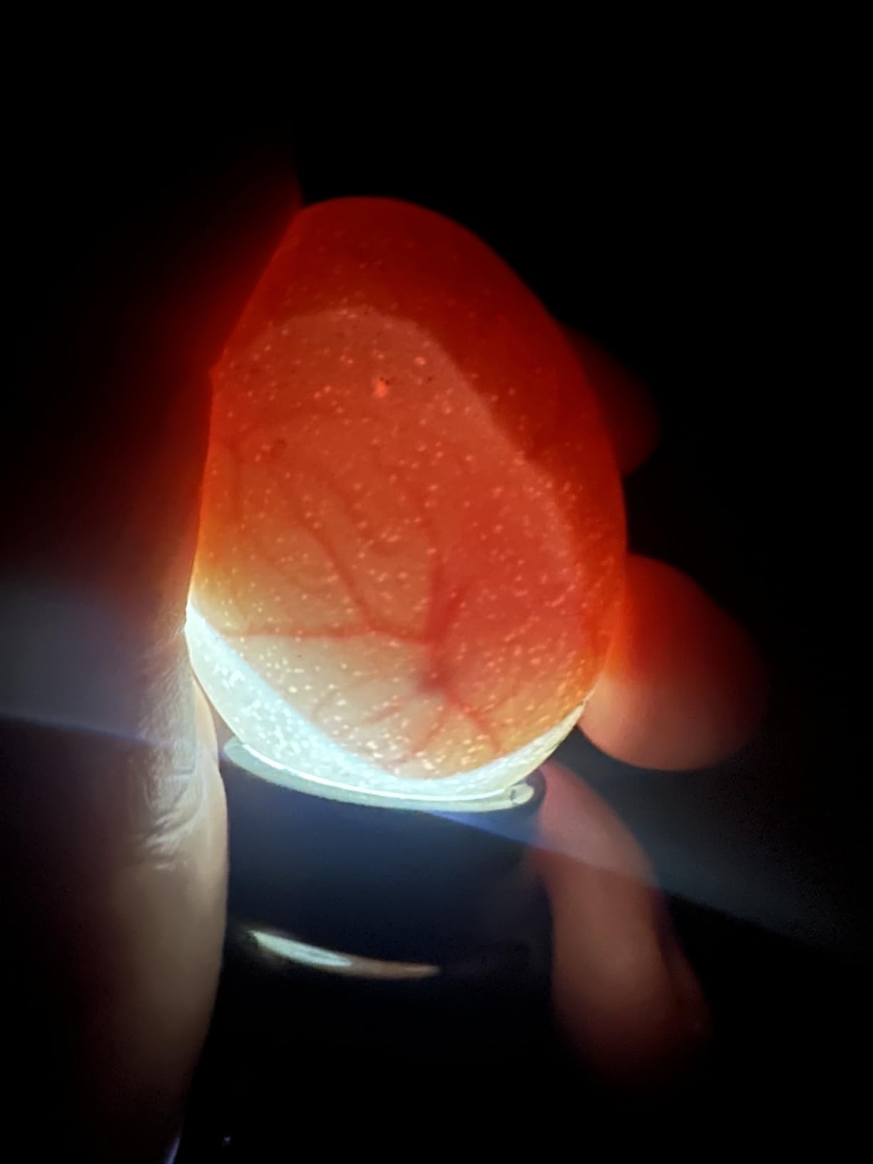 Magicfly Bright Cool LED Light Egg Candler Tester, Powered Only by Power Supply customer photo 1