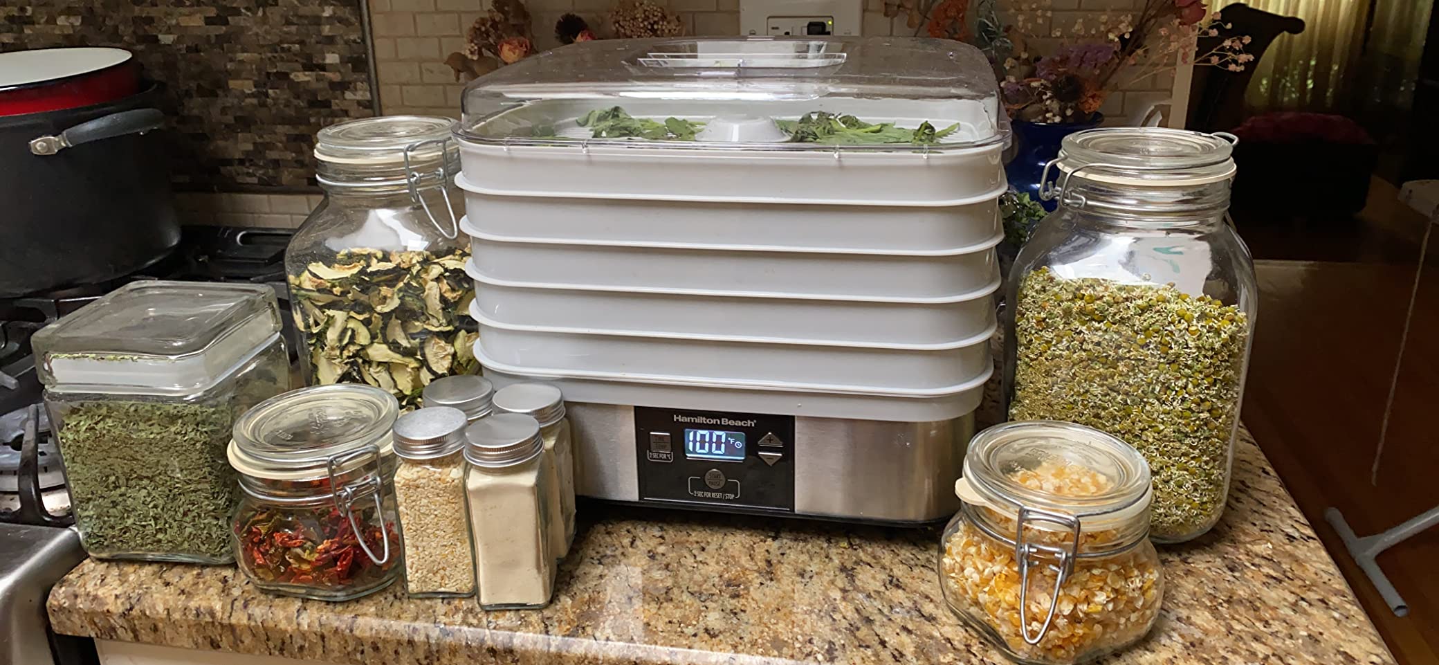 Hamilton Beach Digital Food Dehydrator for Fruit, Jerky, Vegetables & More customer photo 1