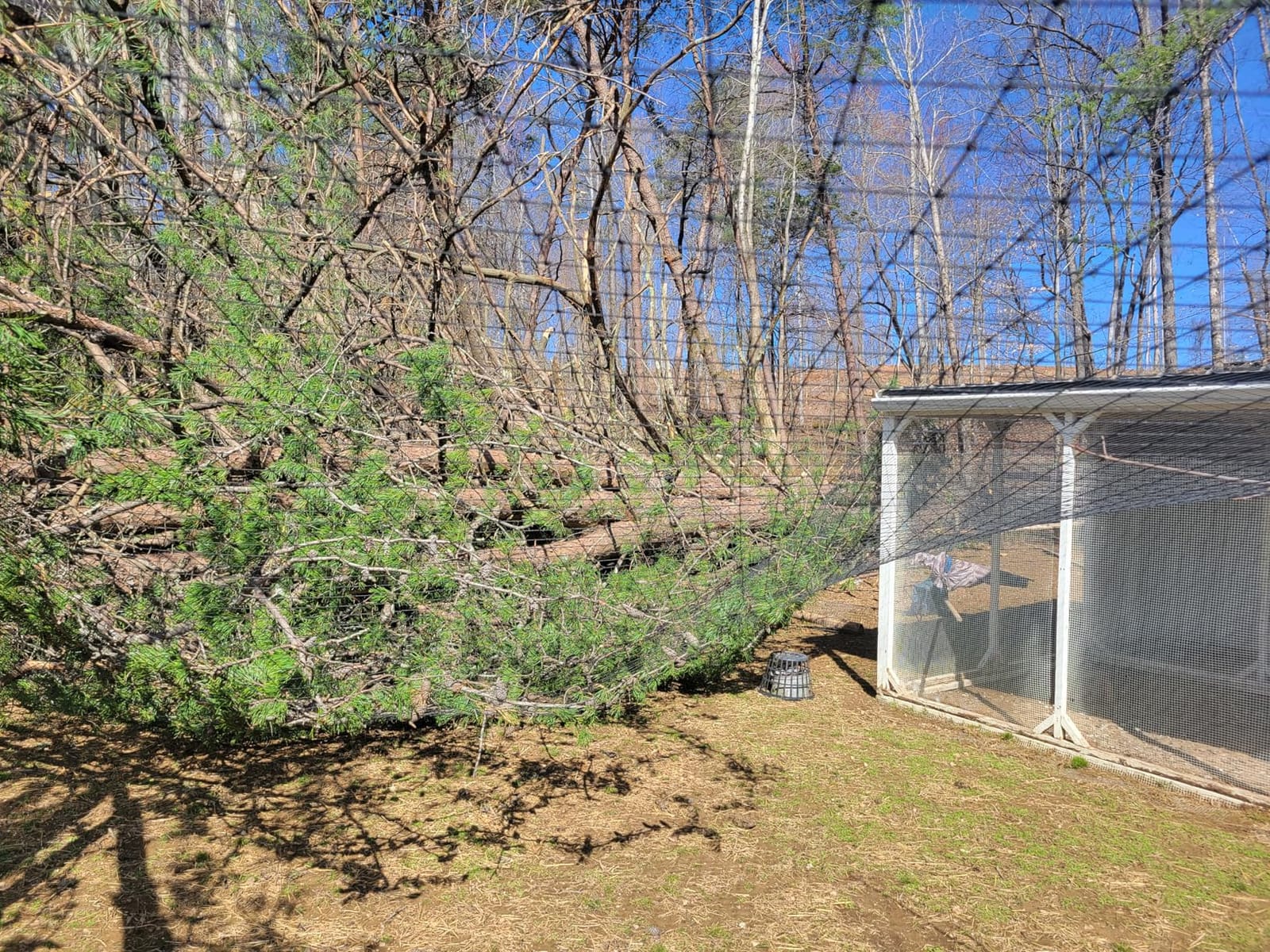 Aviary Netting Heavy Knotted 2 inch Poultry Net (25 ft x 50 ft) customer photo 1