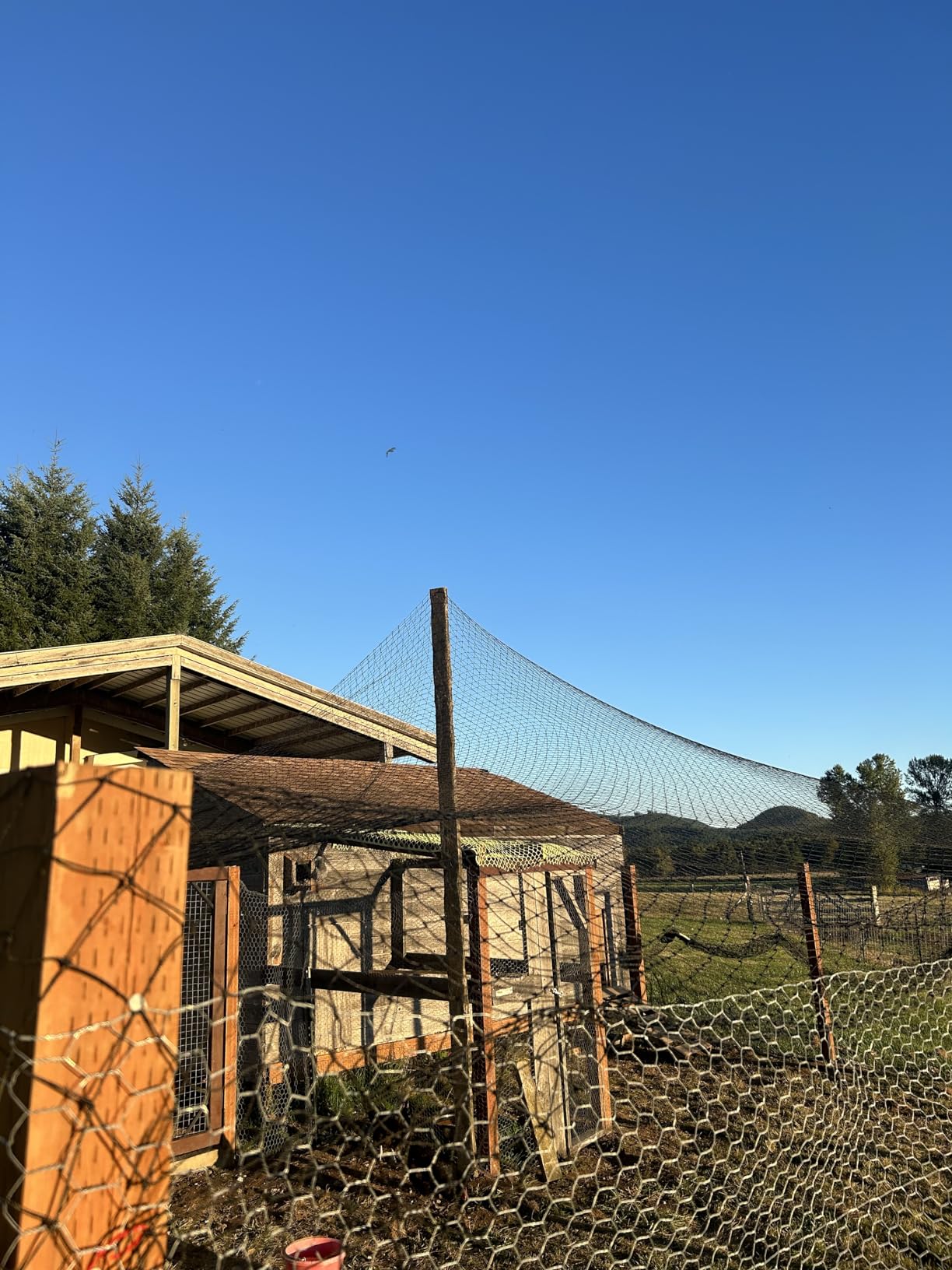 Aviary Netting Heavy Knotted 2 inch Poultry Net (25 ft x 50 ft) customer photo 2