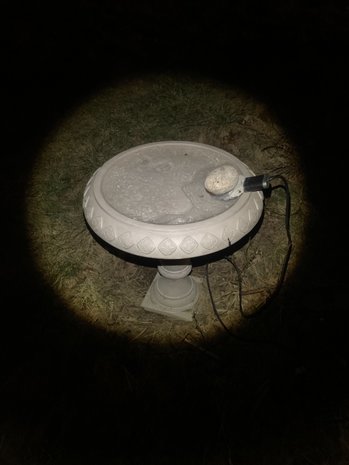 Farm Innovators C-50P Chicken Waterer De-Icer, 150W, Teflon Coated customer photo 1
