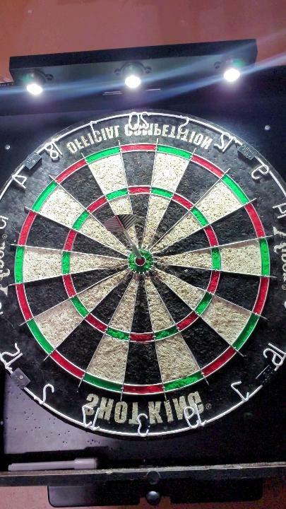Viper by GLD Products Stadium Cabinet & Shot King Sisal/Bristle Dartboard Play-Ready Bundle customer photo 2