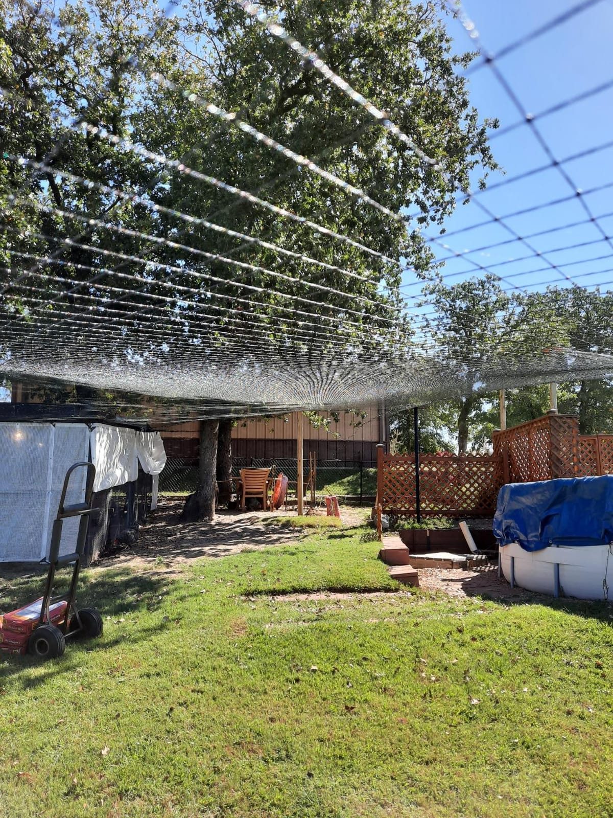 Harvesto Heavy Duty Bird Netting for Chicken Coops & Runs | Tree & Garden Netting Mesh 1-1/2