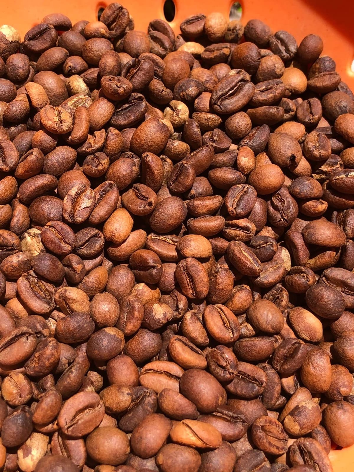 Coffee Bean Roaster Barrel Glass (250g/0.55lb) customer photo 1
