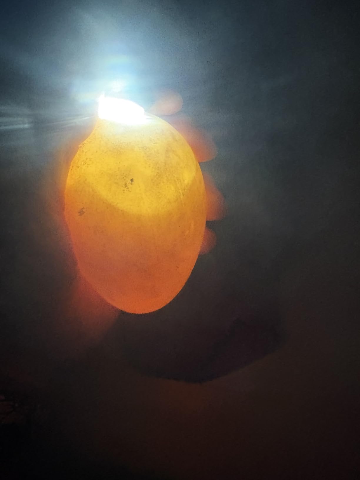 Incu-Bright™ Ultra Bright LED Egg Candler - Portable Light for All Egg Size customer photo 2