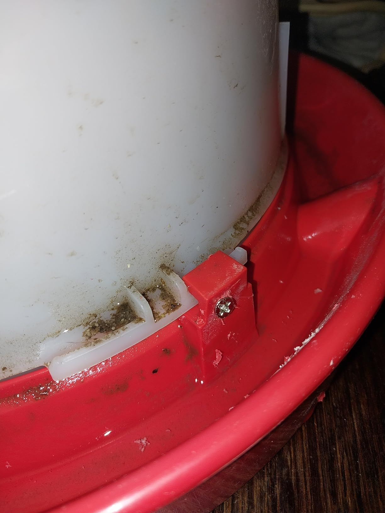 API 3 Gallon Heated Chicken or Bird Waterer with Overheating Protection, Galvanized Steel Handle, and Easy to Fill Funnel Design, White customer photo 2