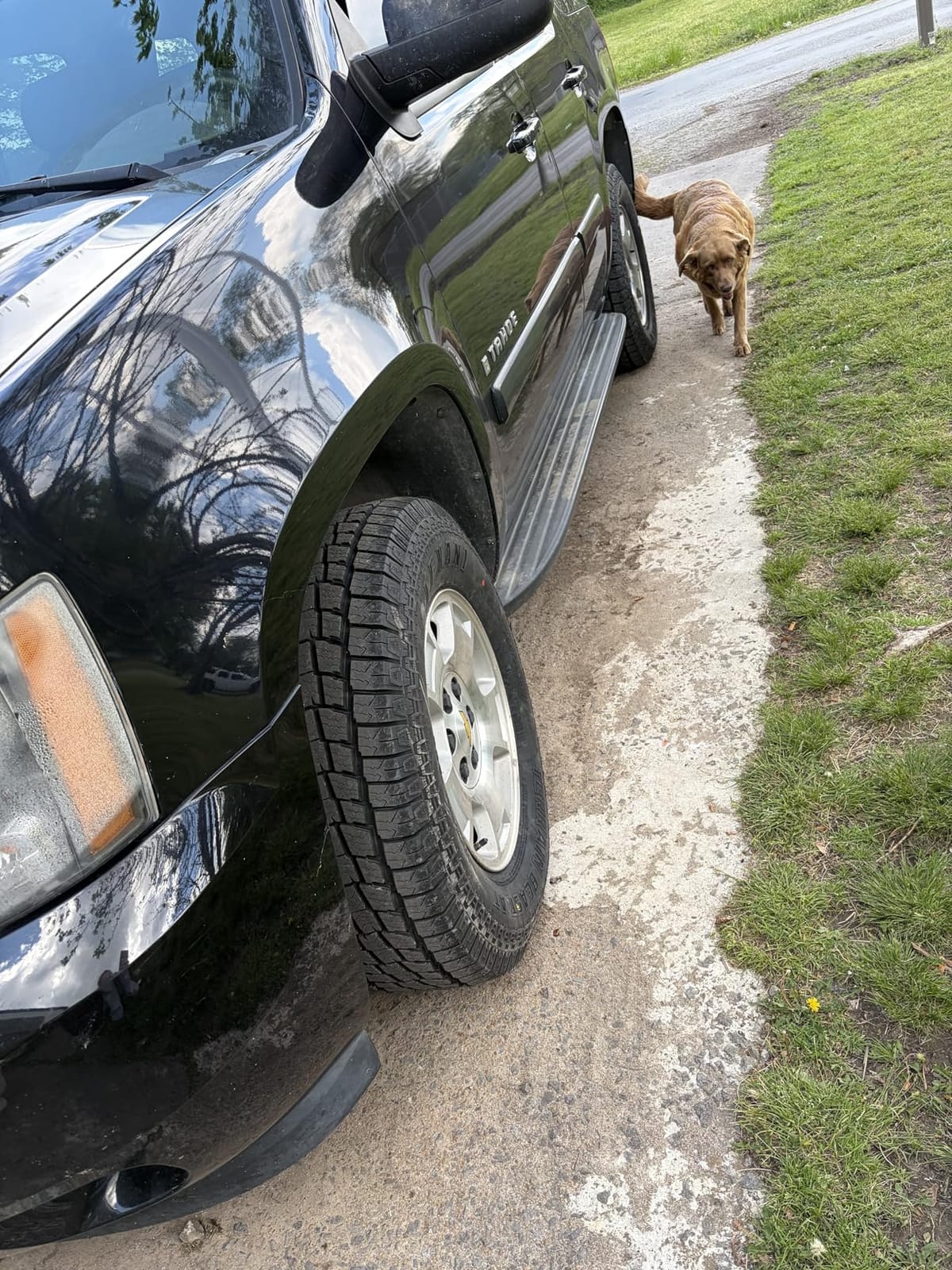 Lexani Terrain Beast AT LT265/70R17 121/118S E customer photo 2