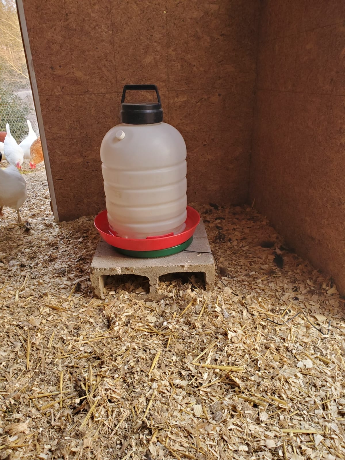 My Favorite Chicken Heated Poultry Waterer Base – 28W Electric Chicken Water Heater for Winter, Freeze-Proof to -20°F, Adjustable Heated Waterer Base for Chicken Waterers & Founts customer photo 2